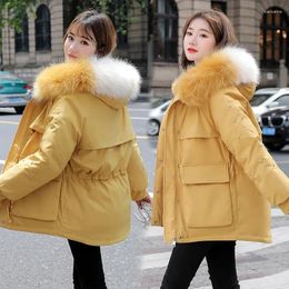 Kadın Trençkotları Kış Parkas Kadın Moda Kürk Kürk Kapşonlu Kalın Daha Sıcak Düz Renkler Pamuk Ceketli Cep Zipper 5