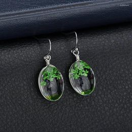 Dangle Earrings Transparent Glass Dried Life Of Tree Earring Crystal Statement Handmade For Women Round Plant Jewellery ER200166
