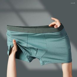 Underpants 2 Pcs/Lot Men Cotton Boxers Briefs Sexy Shorts Character Stripe Panties Underwear Plus Size L-4XL