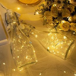 Strings 0.5/1/3/5M USB LED String Lights Copper Wire Year Christmas Decoration Lamp DIY Garland Fairy Indoor Home Birthday