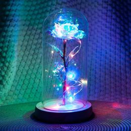 Romantic Eternal Light Rose Flower Glass Cover Beauty and Beast LED Battery Lamp Birthday Valentine's Day Mother Gift Decorat220r