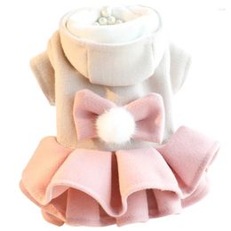 Cat Costumes Dog Clothes Autumn And Winter Thick Princess Skirt Woollen Puffy Tutu Small Teddy Pet