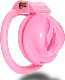 New Pink Pussy Male Chastity Devices with 4 Penis Rings,Small Cock Cage,Cock Rings,Chastity Lock,BDSM Sex Toy for Man Gay Nylon 3D Printed Sissy for Men (Big Cage)