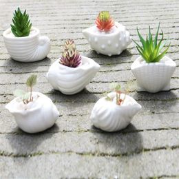 Mini Fleshy Flower Pot Thumb Pot White Shell Conch Ocean Succulent Flower Pot Ceramics 240O