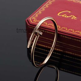 Nail Bracelet Designer Bracelets Luxury Jewellery for Women Fashion Bangle Steel Alloy Gold-plated Craft Never Fade Not Allergic Wholesale Car Large Clou Gift Aaa AU18