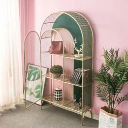 Decorative Plates Nordic Living Room Floor Arch Bookcase Wall Storage Light Luxury Grid Bookshelf Wrought Iron Display Narrow