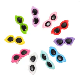 Dog Apparel 10 Pcs Hairpin Pet Glasses Clip Delicate Hairpins For Accessories Plastic Headdress