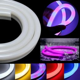 LED Neon Flex 50M 8mm Wide Mini 120 LEDS/M 2835 SMD Led Neon Tube 220V Led Sign Board Tube Red Flexible Tape For Outdoor Lights LL