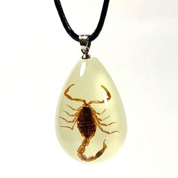 Custom Glow Real Insects Resin Pendant Necklace Insect Specimen Necklace Jewelry For Men 9152