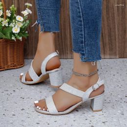 Dress Shoes Casual Roman Sandals For Women 2024 Summer Thick Heel Women's Open Toe High Heels Ladies Gold Platform Sandalias