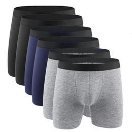 Cotton Men's Panties Underwear Boxer Shorts Long Leg Comfort Men Underpants Male Hombre Boxer Marca European Size Plus S-XXL 240125