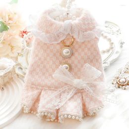 Dog Apparel Autumn And Winter Fashionable Contrasting Color Stitching Dresses Cute Lace Pearl Small Fragrance Pet Clothes Warm Cat Dress
