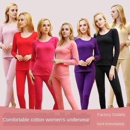 Men's Thermal Underwear Cotton Women's Set Bottom Thin Girl's Student Tight Jersey