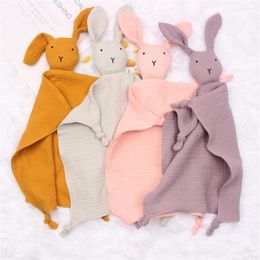 Blankets Soft Born Baby Sleeping Dolls Kids Fashion Sleep Toy Soothe Appease Towel Bib
