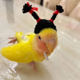 Other Bird Supplies 2024 Woven Pet Hat Parrot Hamster Head Cover Mini