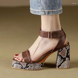 Sandals Luxury Serpentine Platform Women Chic Fashion Chunky High Heels Prom Summer Shoes Brown Cross Strap Sandalias Femmes