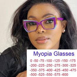 Sunglasses Fashion Vintage Eyeglasses For Nearsightedness TR90 Anti Blue Light Myopia Glasses Unique Splicing Color Cat Eye Frame