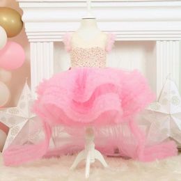 Girl Dresses Flower Pink Tulle Puffy Pearl Top Tiered Bow With Long Tailing Sleeveless For Wedding Birthday First Communin Gown