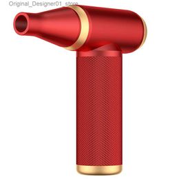 Hair Dryers New Wireless Hair Dryer High Power Barbecue Carbon Blowing Small Air Gun For Physical Fitness Joint Inspection Portable Hair Dry Q240131