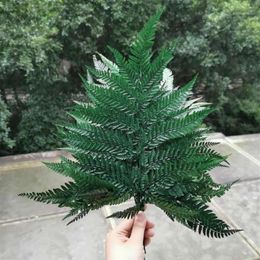 10pcs Natural Dried Fern Leaves Eternelle frond Flower for Wedding Party Home Decoration accessories display Floating bottle1202t