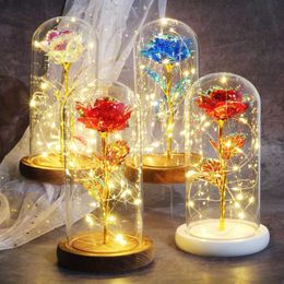 Valentine gift Beauty Eternal Rose Eternal LED light Beauty and Beast Rose in glass Dome birthday Gift for Valentine's Day Q0319C