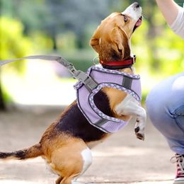 Dog Collars Cat Leash Vest Harness For Large Dogs Puppy Portable Multifunctional Polyester Pet Tank Top