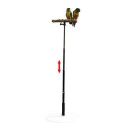 Perches Wooden Bird Perch Parrot Training Playground Exercise T Stand Conures Cockatiel Parakeet Bird Cage Accessories