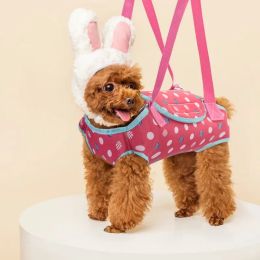 Carriers Pet Dog Puppy Carrier Bag Cats Outdoor Travel Shoulder Sling Handbag Portable Conveyor Chihuahua Accessories Transport Supplies