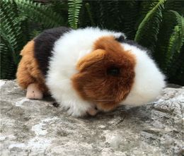 Three Color Lifelike Guinea Pig Plush Toy Real Life Mouse Rats Stuffed Animal Toys Christmas Gifts For Kids LJ2011265908582