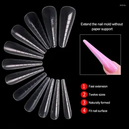 Nail Art Kits Precise 120 Pieces Beauty And Health Perfect Decoration Extend The Membrane Transparent Products Scale Design