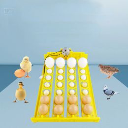 Accessories 32 egg trays, automatic flipping incubator, household small egg trays, chicken, duck, bird egg trays, incubator accessories