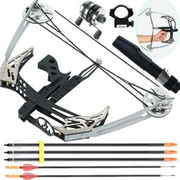 Bow Arrow 1set Compound Bow Archery Pulley Bows Outdoor Fishing bow 30lbs Powerful Archery Recurve Bow Professional Hunting Shooting Bow YQ240301