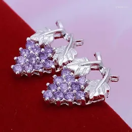 Stud Earrings Classic High-Quality Fashion Jewelry Silver Color Wholesale For Women Inlaid Purple Acfaitma LE-E040