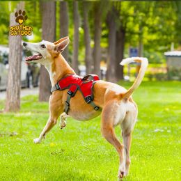 Collars The dog chest strap can be lifted to prevent breaking away from the large dog walking vest type Big dog chest back