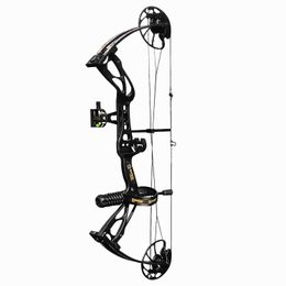 Bow Arrow Sanlida Dragon X8 Compound Bow Set 18-31 Adjustable Draw Weight 0-60lbs 0-70lbs Archery Hunting Shooting Outdoor Sport YQ240301