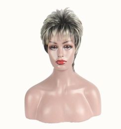 Short Hair Wigs for Women Silver Grey Synthetic Wig Heat Resistant Natural Straight Hair Party Cosplay12862873684940