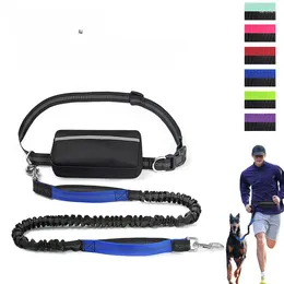 Dog Collars Selling Pet Sports Running Waist Bag Set Outdoor Walking Reflective Traction Rope In Stock Wholesale