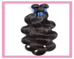 Malaysian Virgin Human Hair 3 Bundles Body Wave Straight Double Wefts Natural Color Cheap 3 Pieceslot Hair Products 1030quot9553415