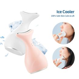 Devices Hot Sale Face Ice Massager Shrink Clean Pore Face Cleaner Exfoliating Anti Wrinkle Cooling Beauty Instrument