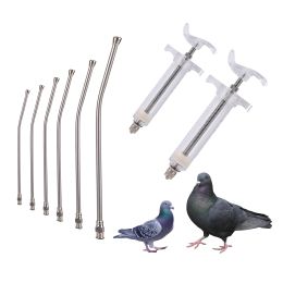 Feeding 1Pc 10ml/20ml/50ml Parrot Feeding Syringe Parrot Bird Feeding Syringe with 6pcs Curved Gavage Tube Bird Feeding Medical Items