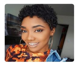 short kinky curl soft brazilian African American hairstyle black wigs Simulation Human Hair afro curly full wig for lady2401805