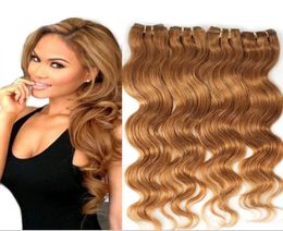 1028inch 2750gpcs 4pcslot 5A Peruvian Hair brazilian hair indian hair Malaysian Virgin Hair Whole Human Hair Weave Bund9279865