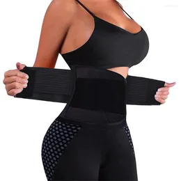 Women's Shapers Unisex Black Waist Trainer Belt Casual Four Seasons Adult Cincher Trimmer With Sticker For Women Body Shaper