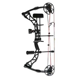 Bow Arrow 35-70lbs Archery Compound Bow Hunting Set Adjustable High Quality Labor Saving Ratio 80% Can Shooting Accessories Directly YQ240301