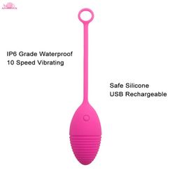 APHRODISIA 10 Vibrations Silicone Egg Shape Bullet Vibrator Sex Toys for Women Recharge Waterproof Vaginal Clitoral Stimulator S104963968