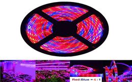 Umlight1688 Plant Grow Light 5050 SMD LED Plant Strip Lights Indoor Growing Lamp 164ft Waterproof Flexible Soft Rope Light4737801