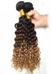 Malaysian Ombre Dark Brown Blonde Deep Wave Human Hair 34 Bundles Coloured 1B427 Curly Virgin Human Hair Weave Extensions9182173