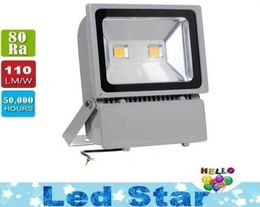 100W 2X50W Led Floodlights 9000 Lumens Super Bright Waterproof Outdoor Led Flood Lights WarmCold White AC 85265V3867567