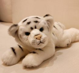 simulation animal white tiger plush toy realistic lying little animals tiger doll kids gift decoration 39x15x16cm DY501427410189