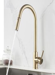 Brushed Gold Kitchen Faucet And Cold Water Mixer Faucet For Kitchen Pull Out Mixer Crane 2 Function Spout Water Mixer9507829